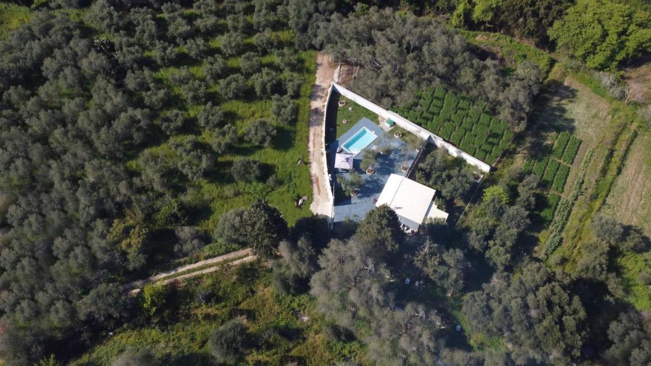 Villa Gardiki For2 CChalikounas Buitenkant foto